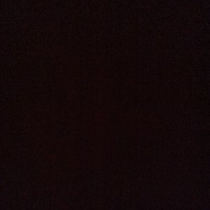 Meet your Posher, Camryn